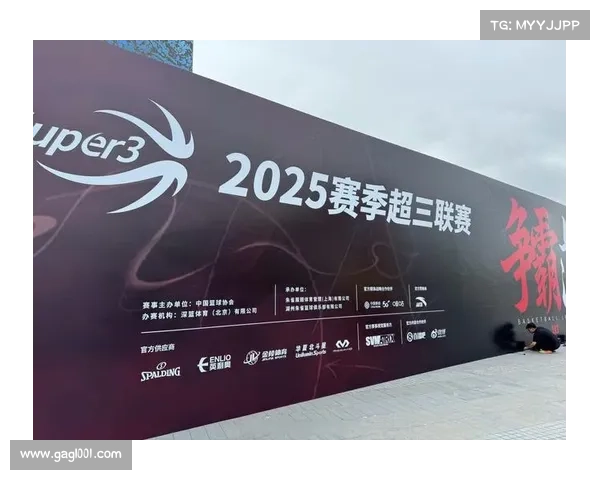 赛事遵循 赛事遵循规范全面落实与创新发展路径探析